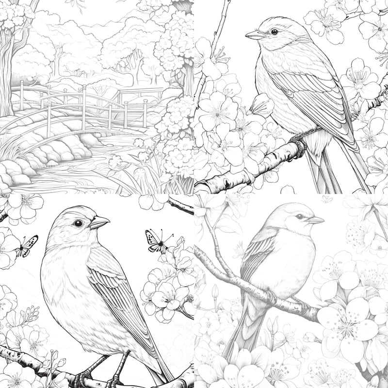 Springtime Garden Coloring Book - CraftNest - Digital Crafting and Art