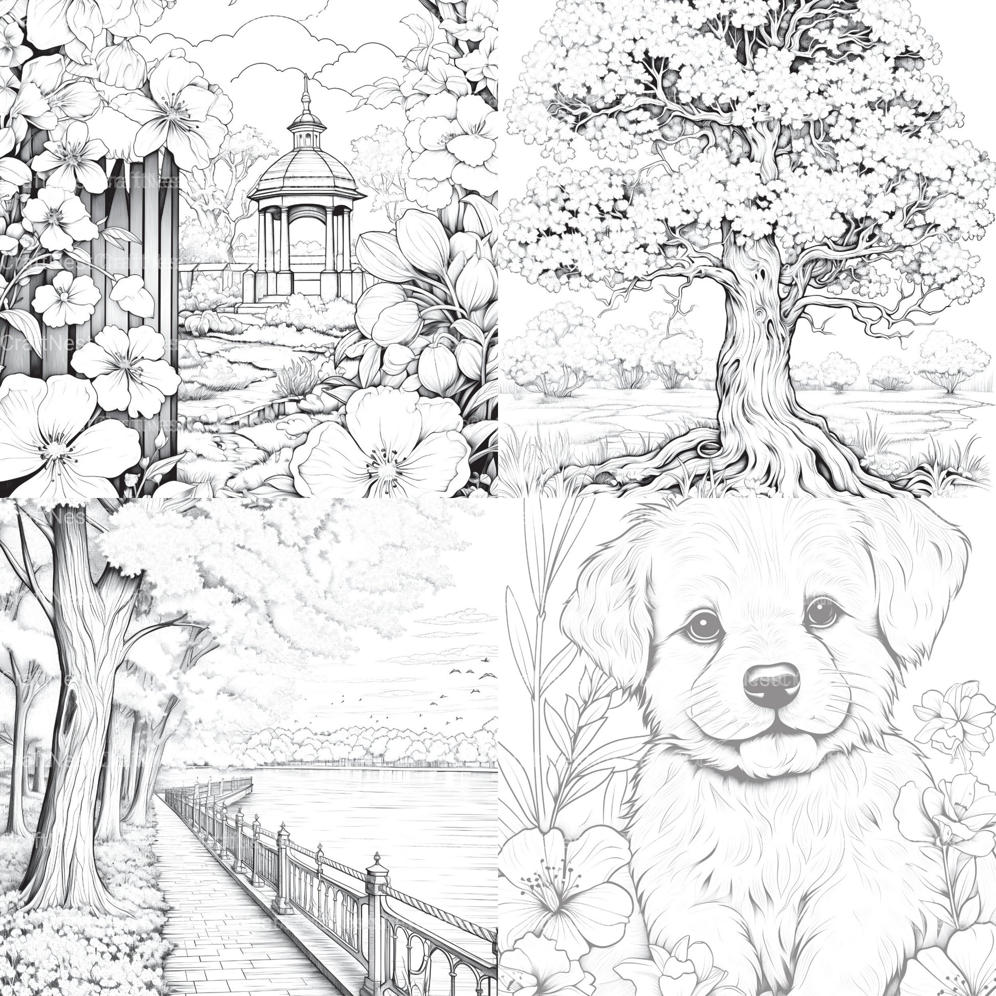 Springtime Garden Coloring Book - CraftNest - Digital Crafting and Art