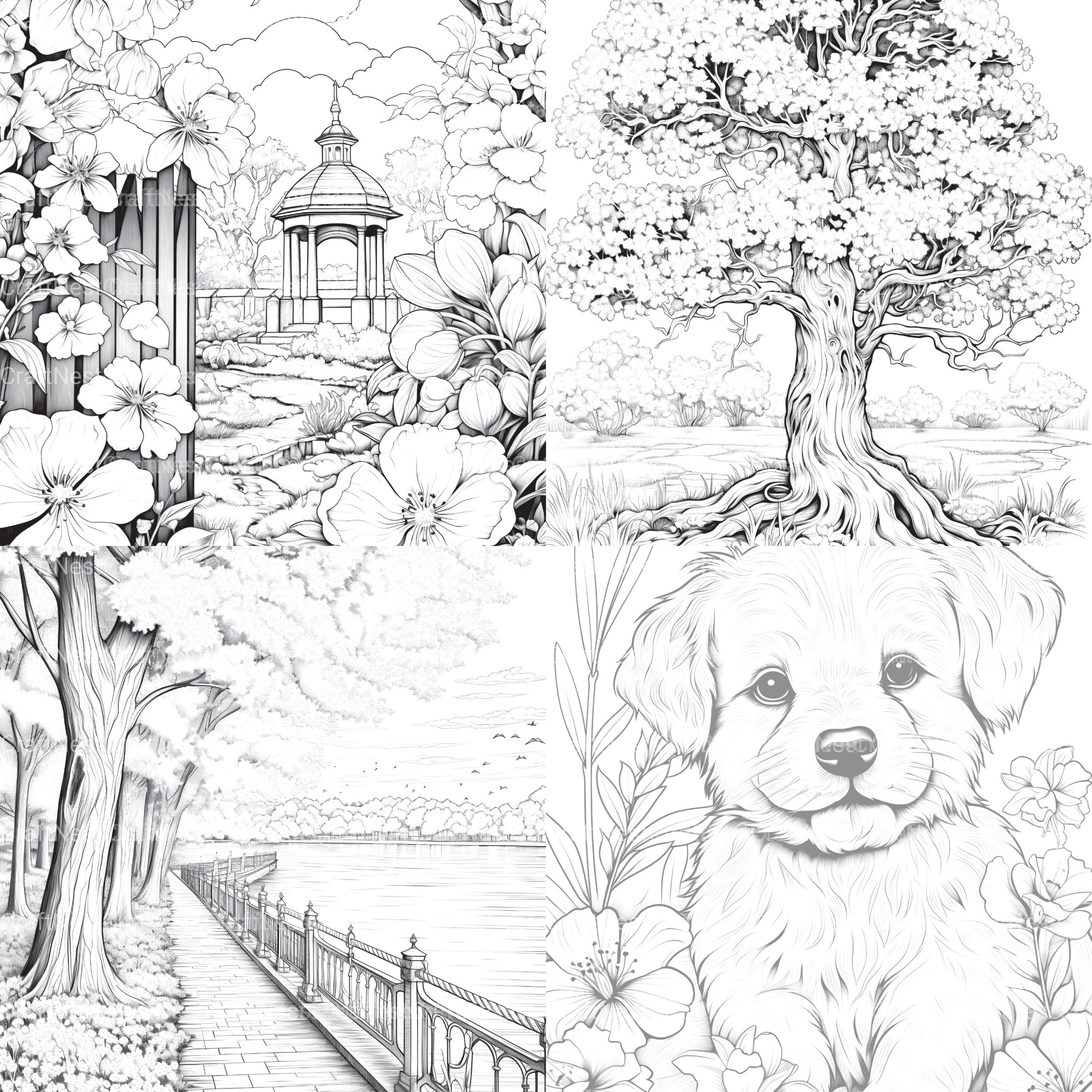 Springtime Garden Coloring Book - CraftNest - Digital Crafting and Art
