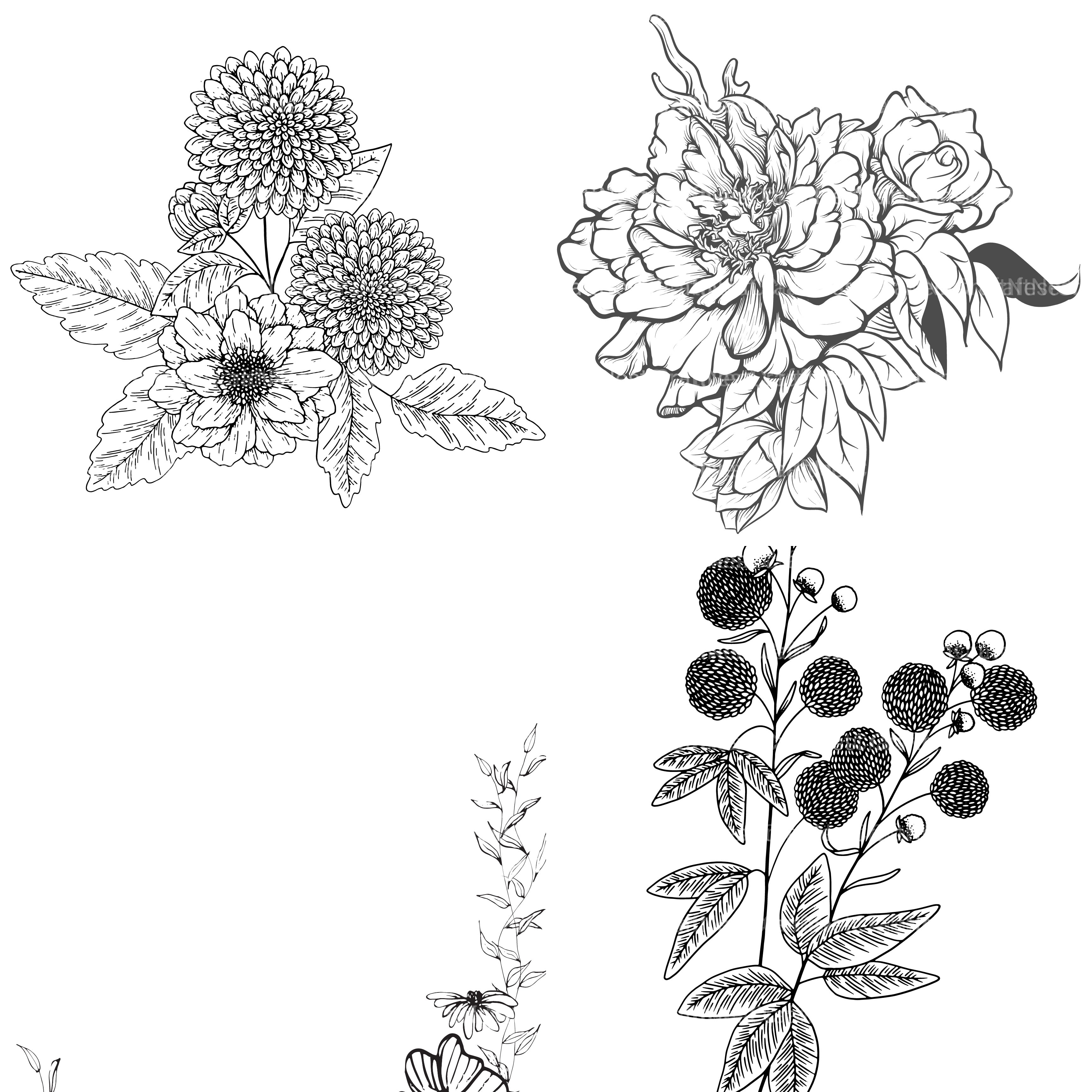 Floral Coloring Book - CraftNest - Digital Crafting and Art