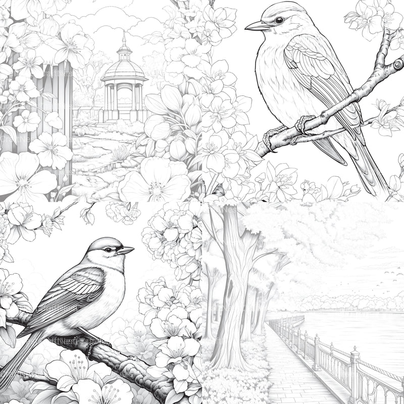 Springtime Garden Coloring Book - CraftNest - Digital Crafting and Art