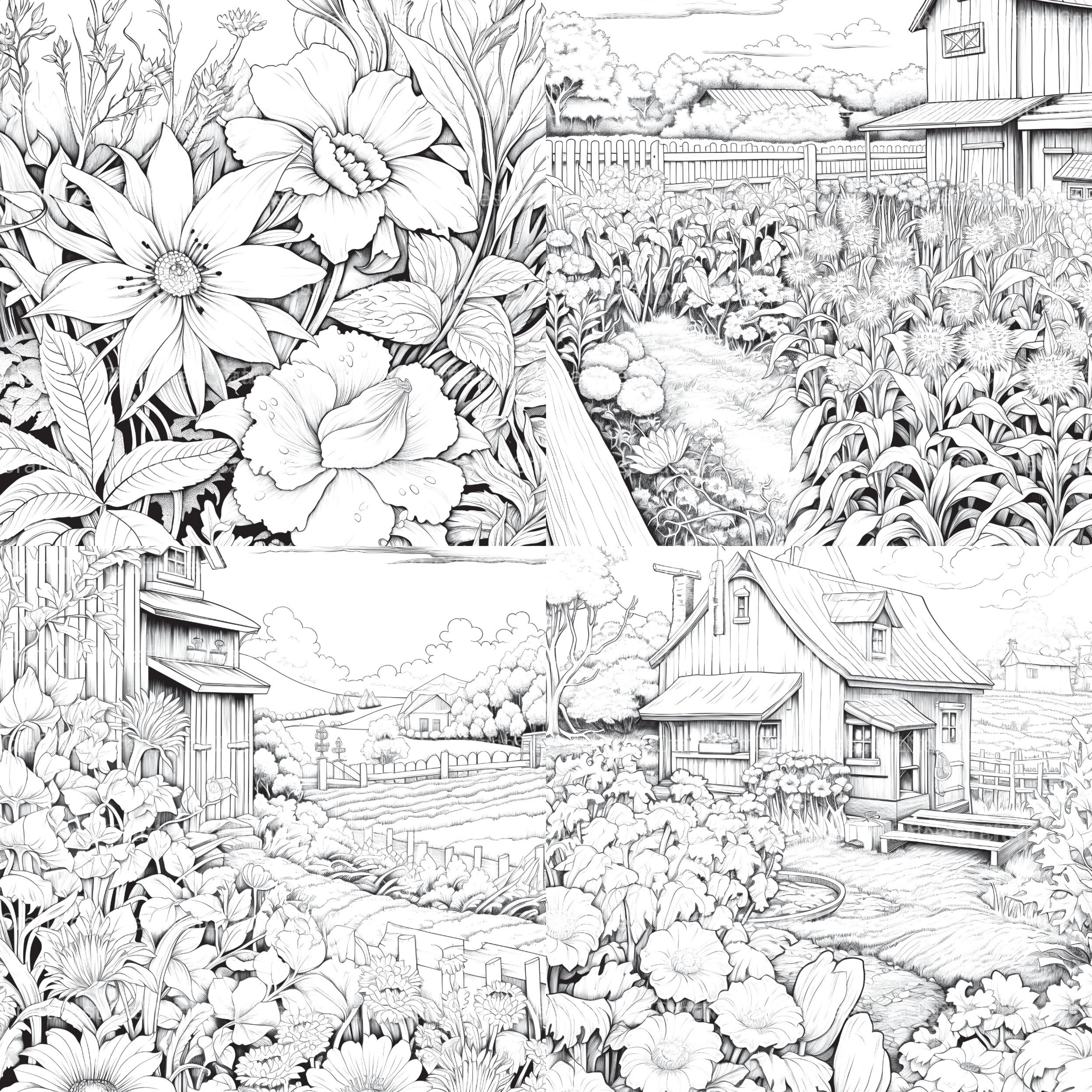 Farmers Garden Coloring Book 2 - CraftNest - Digital Crafting and Art