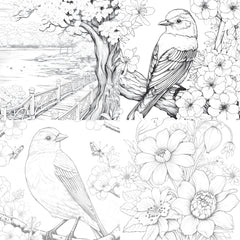 Springtime Garden Coloring Book - CraftNest - Digital Crafting and Art