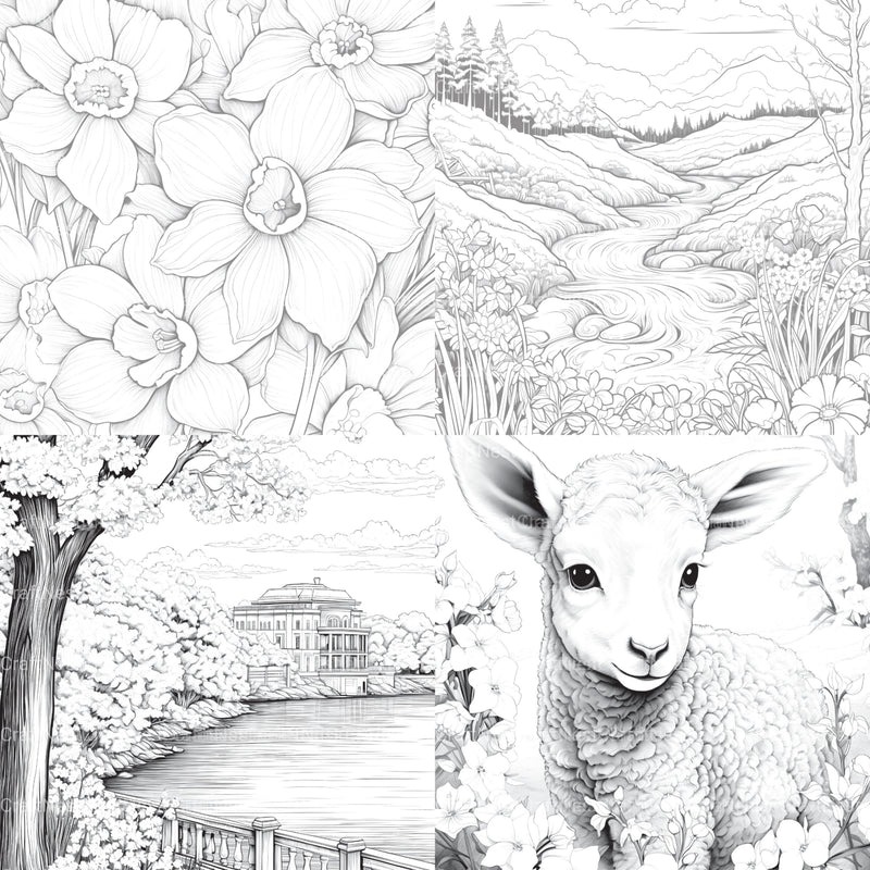 Springtime Garden Coloring Book - CraftNest - Digital Crafting and Art