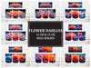 Flower Dahlias 6 Mug Wrap