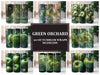 Green Orchard 3 Tumbler Wrap