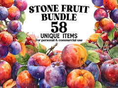 Stone Fruit Clipart - CraftNest - Digital Crafting and Art