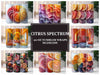 Citrus Spectrum 4 Tumbler Wrap