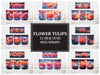 Blume Tulpen 8 Becher Wrap