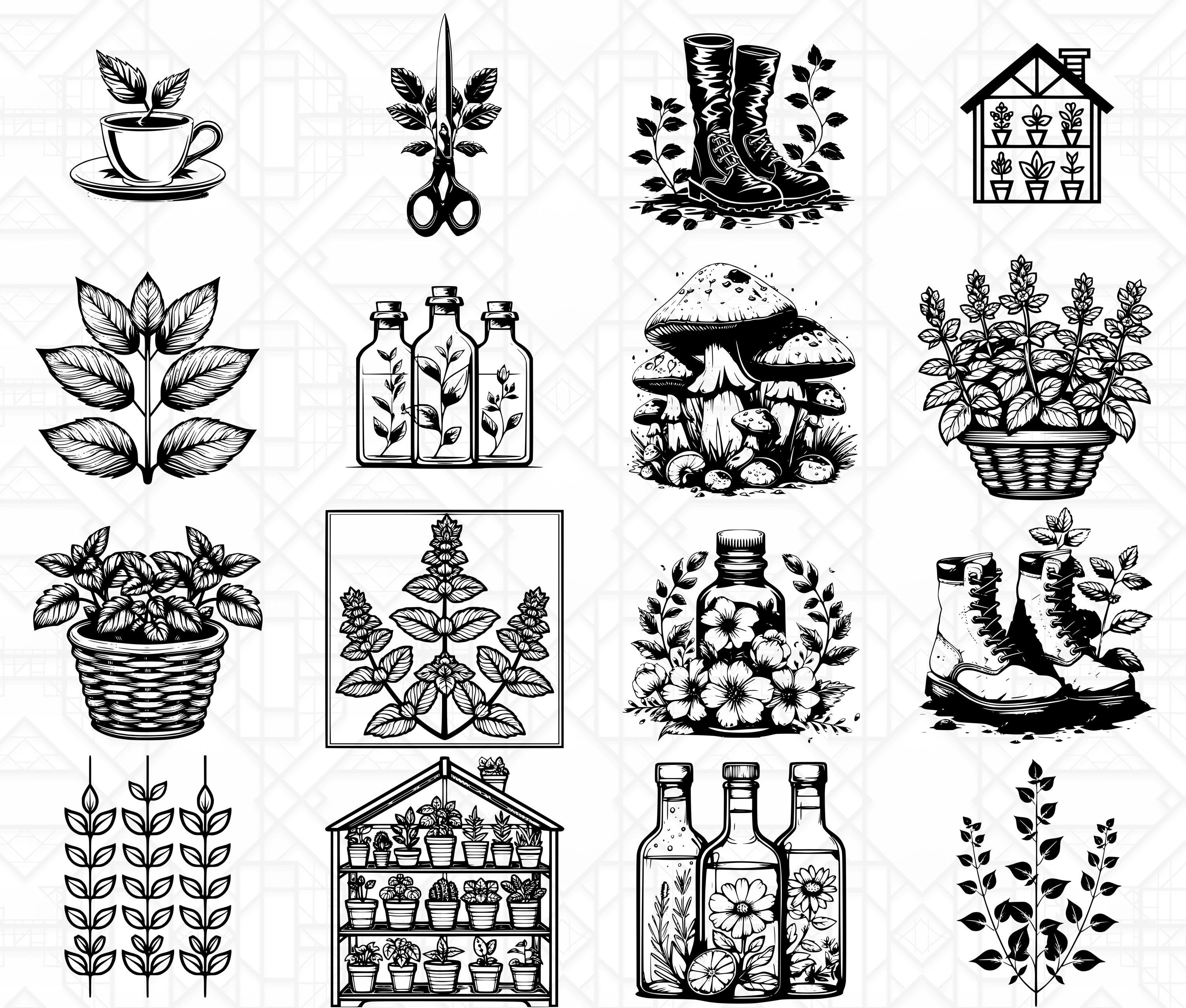 Herbalism SVG Bundle - CraftNest - Digital Crafting and Art