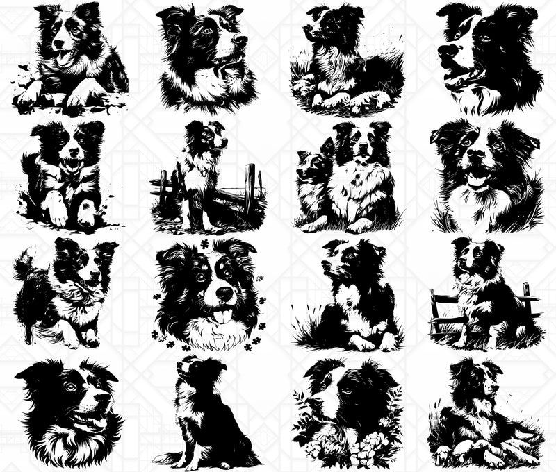 Border Collie SVG Bundle - CraftNest - Digital Crafting and Art