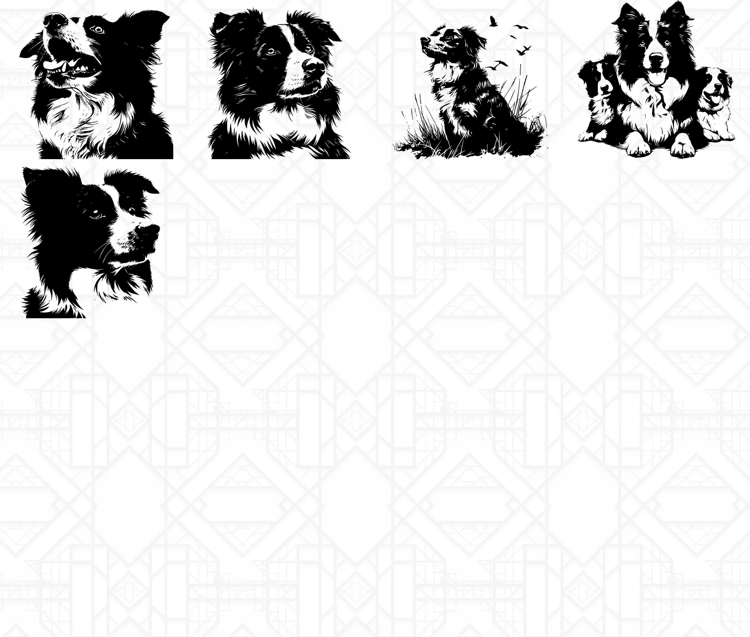 Border Collie SVG Bundle - CraftNest - Digital Crafting and Art