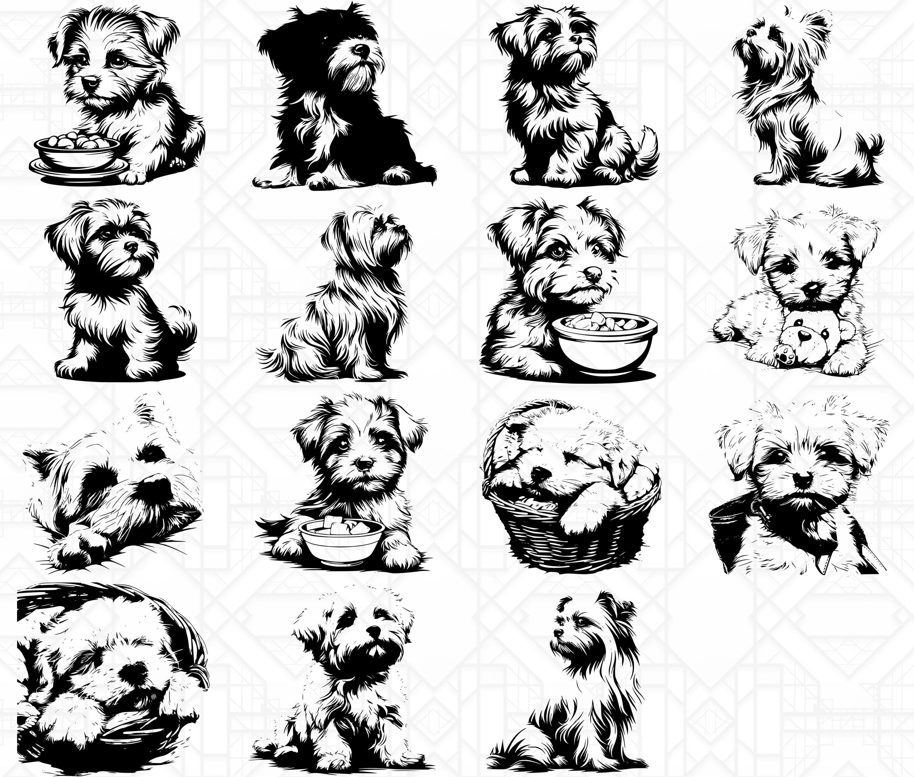 Maltese Dog SVG Bundle - CraftNest - Digital Crafting and Art