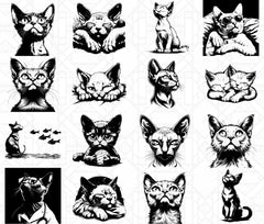 Sphynx Cats SVG Bundle - CraftNest - Digital Crafting and Art