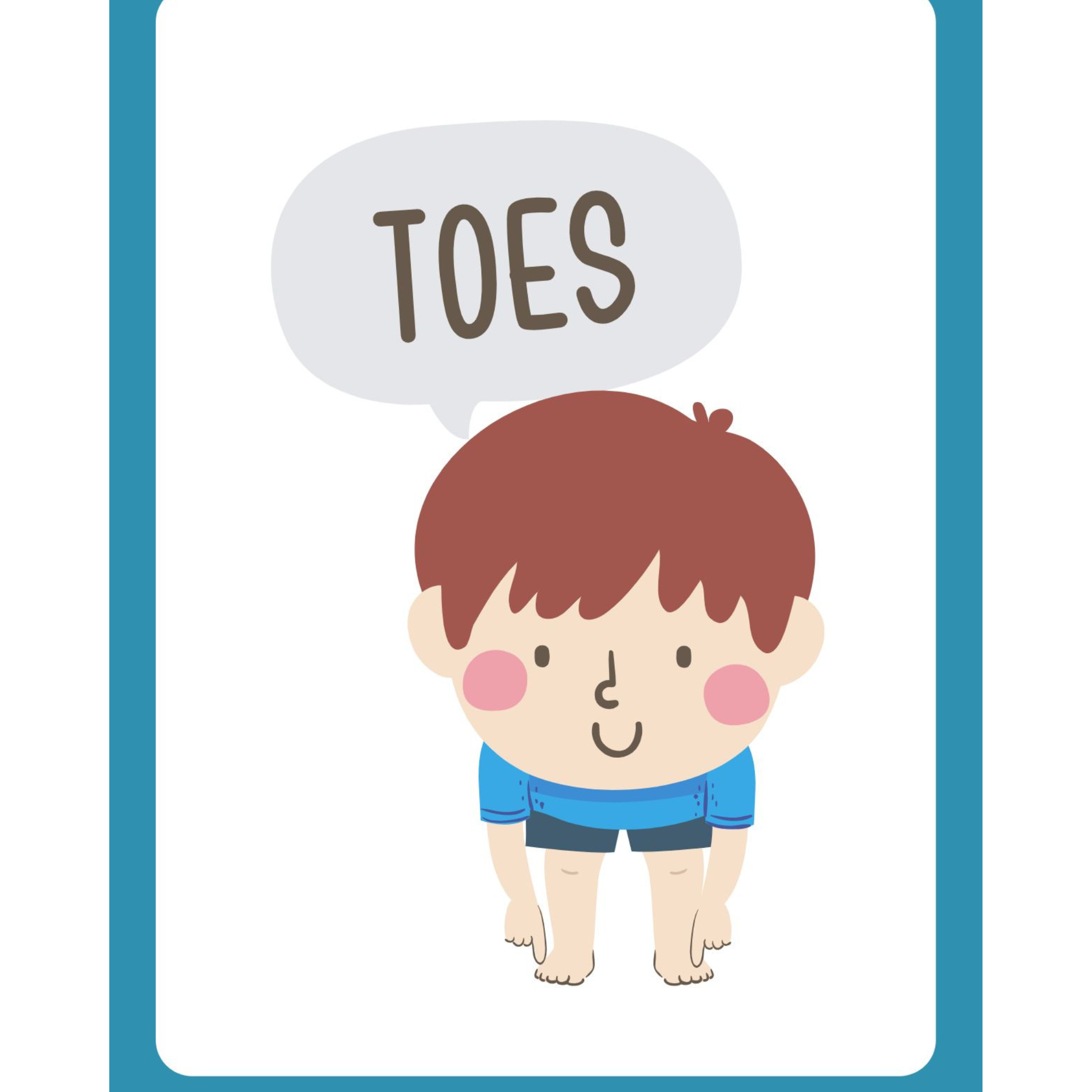 Human Body Flashcards for Kids