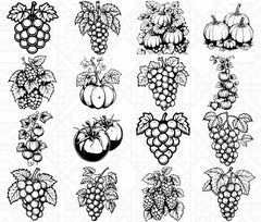 Vine Fruits SVG Bundle - CraftNest - Digital Crafting and Art