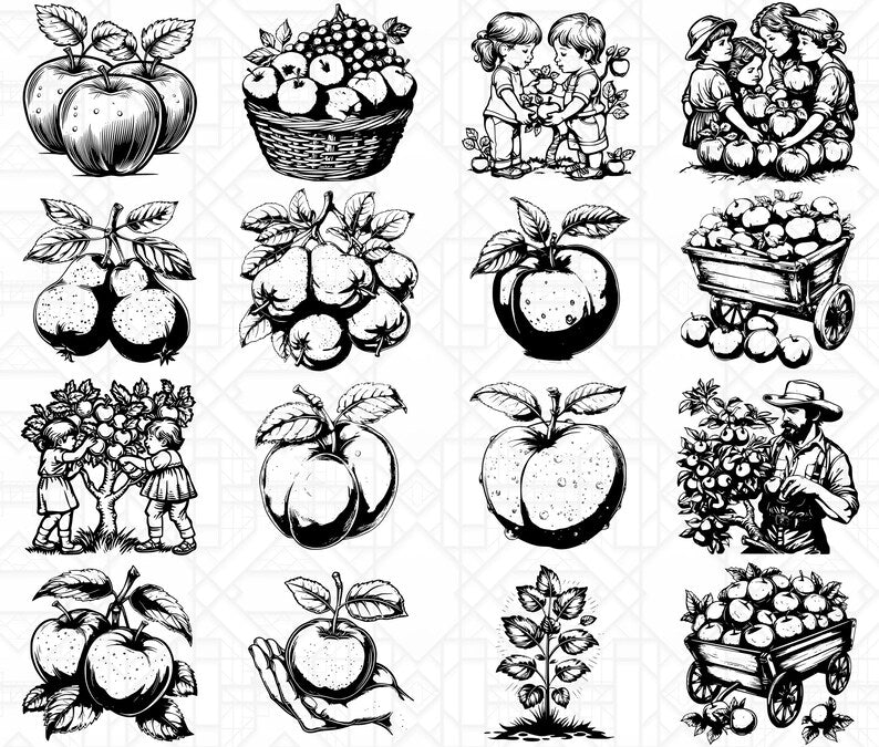 Orchard Fruits SVG Bundle - CraftNest - Digital Crafting and Art