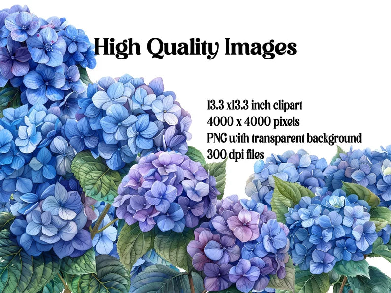 Hydrangeas Flowers Clipart - CraftNest - Digital Crafting and Art