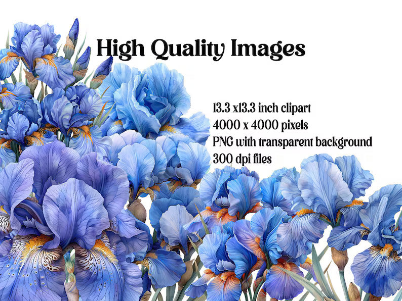 Irises Flowers Clipart - CraftNest - Digital Crafting and Art