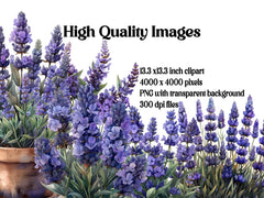 Lavender Flowers Clipart - CraftNest - Digital Crafting and Art