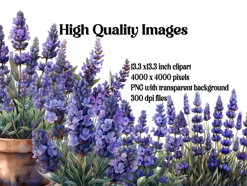 Lavender Flowers Clipart - CraftNest - Digital Crafting and Art