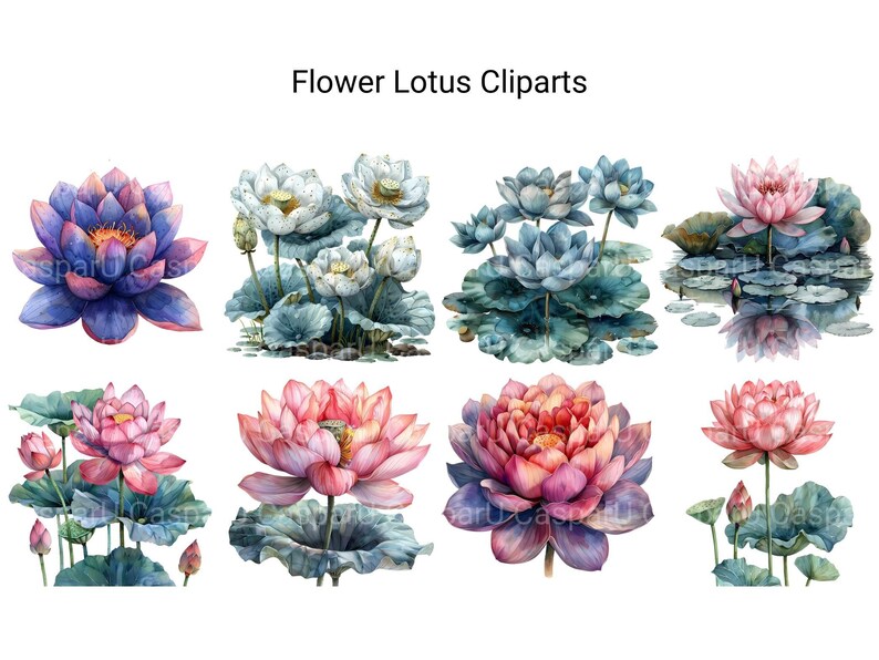 Lotus Flowers Clipart - CraftNest - Digital Crafting and Art