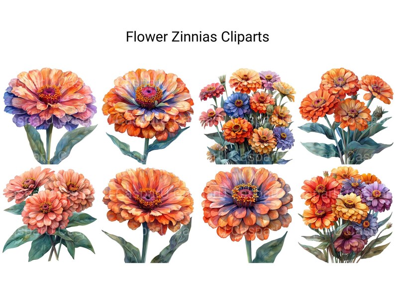 Zinnias Flowers Clipart - CraftNest - Digital Crafting and Art