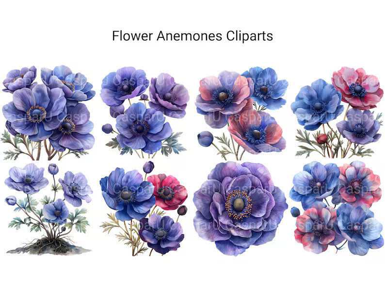 Anemones Flowers Clipart - CraftNest - Digital Crafting and Art