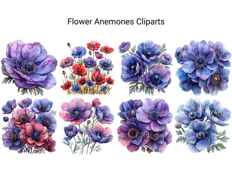 Anemones Flowers Clipart - CraftNest - Digital Crafting and Art