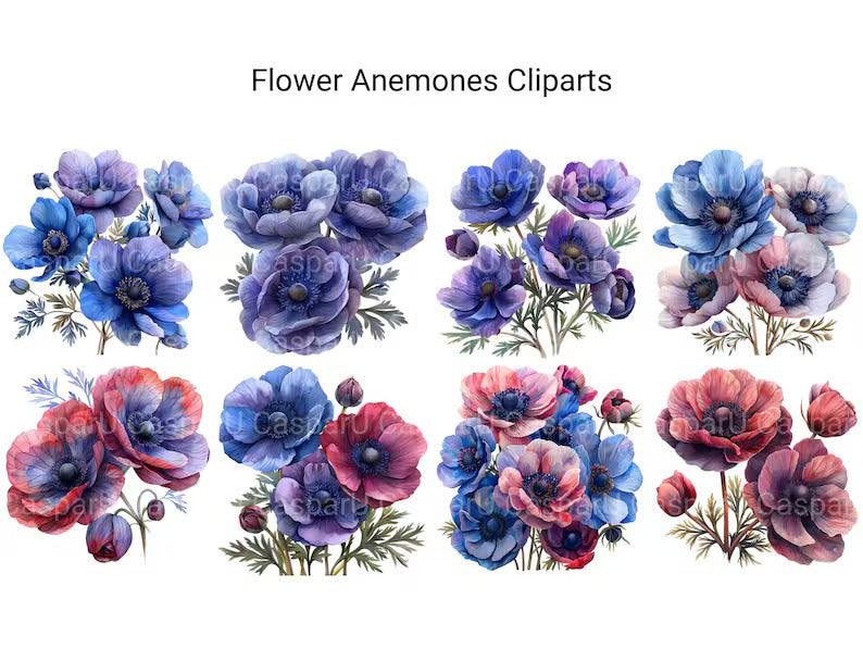 Anemones Flowers Clipart - CraftNest - Digital Crafting and Art