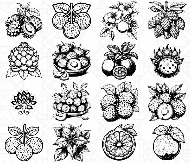 Asian Fruits SVG Bundle - CraftNest - Digital Crafting and Art