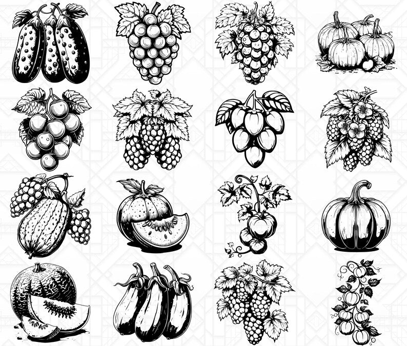 Vine Fruits SVG Bundle - CraftNest - Digital Crafting and Art