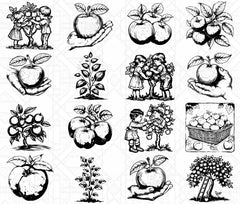 Orchard Fruits SVG Bundle - CraftNest - Digital Crafting and Art