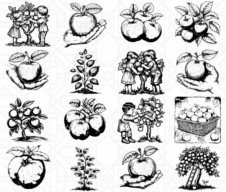 Orchard Fruits SVG Bundle - CraftNest - Digital Crafting and Art