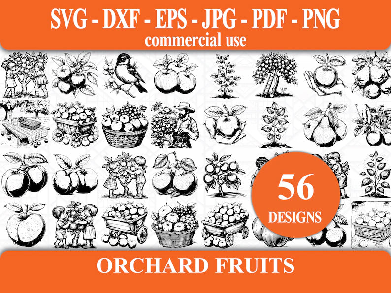 Orchard Fruits SVG Bundle - CraftNest - Digital Crafting and Art