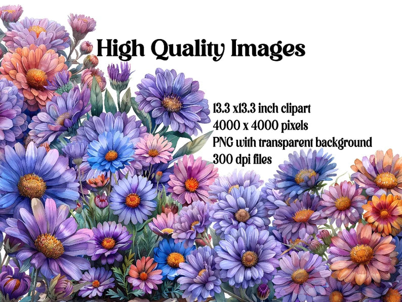 Asters Flowers Clipart - CraftNest - Digital Crafting and Art