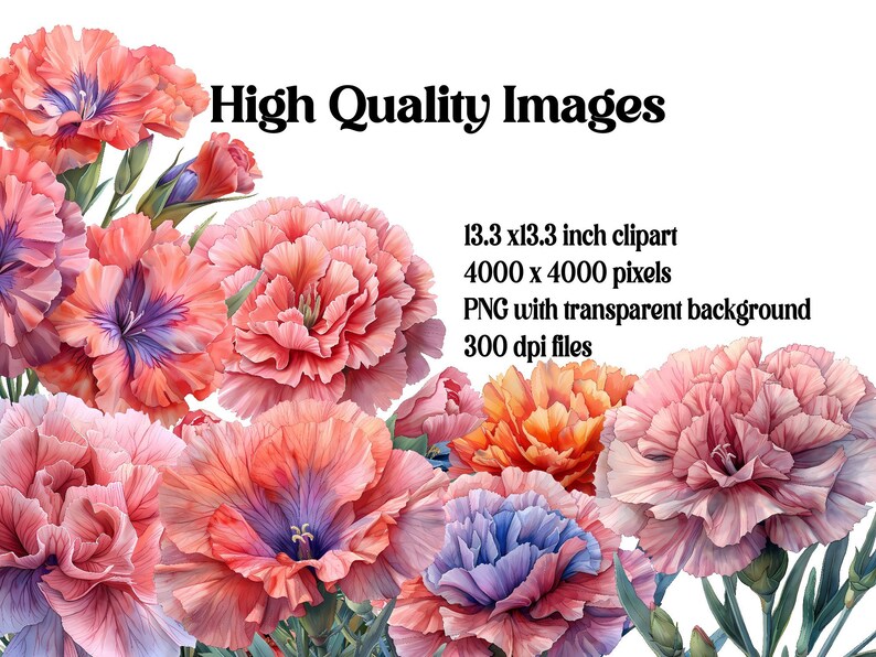 Carnations Flowers Clipart - CraftNest - Digital Crafting and Art