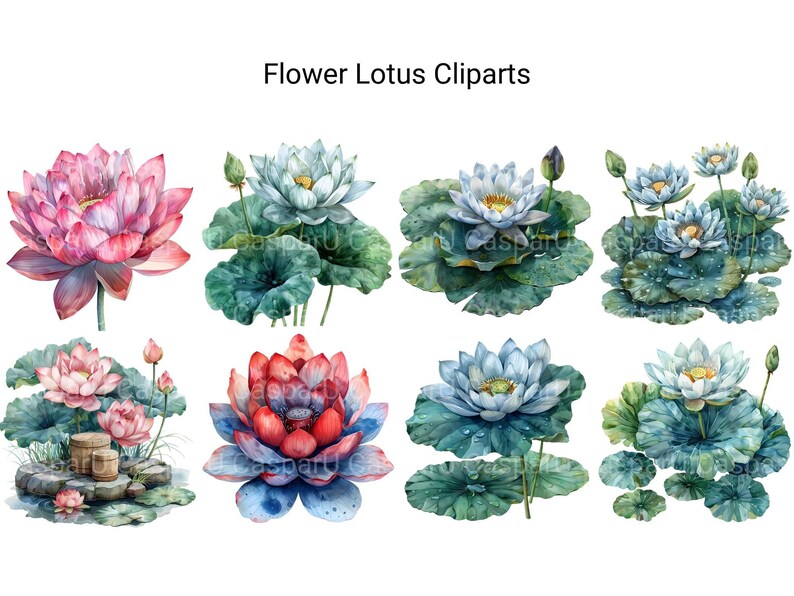 Lotus Flowers Clipart - CraftNest - Digital Crafting and Art