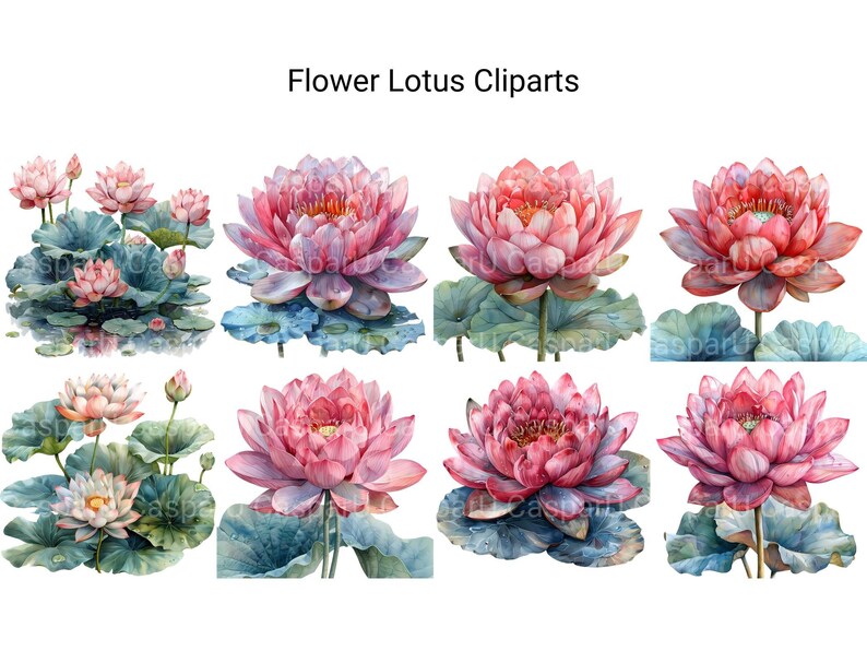 Lotus Flowers Clipart - CraftNest - Digital Crafting and Art