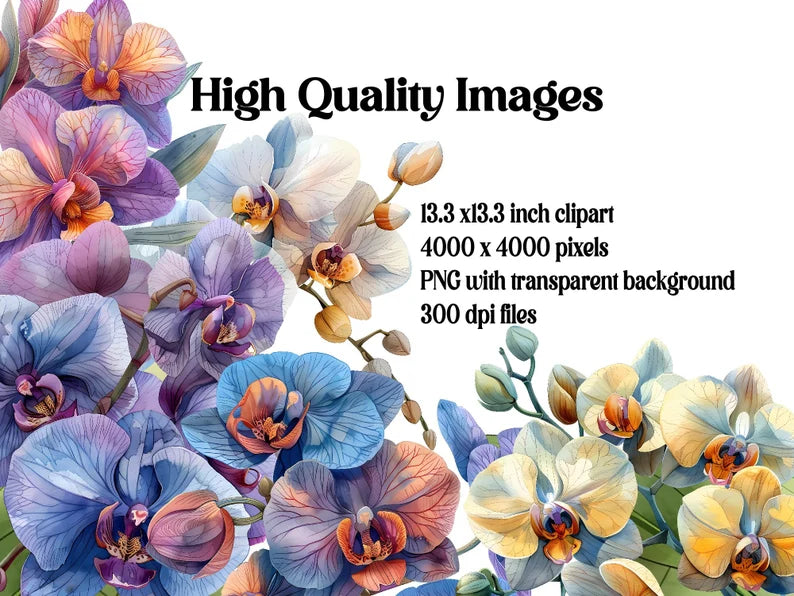 Orchids Flowers Clipart - CraftNest - Digital Crafting and Art