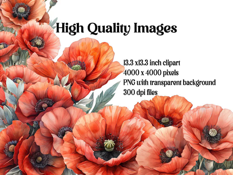 Poppies Flowers Clipart - CraftNest - Digital Crafting and Art