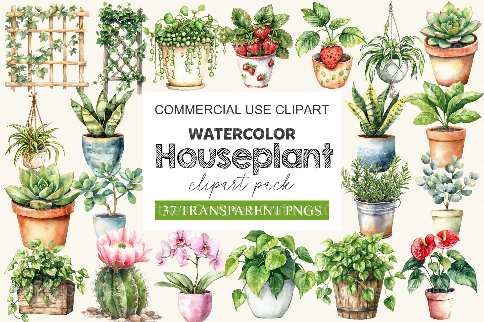 Houseplant Clipart Bundle 2 - CraftNest - Digital Crafting and Art
