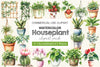 Houseplant Clipart Bundle 2