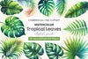 Tropical Leaves Clipart Bundle