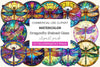 Dragonfly Stained Glass Clipart Bundle