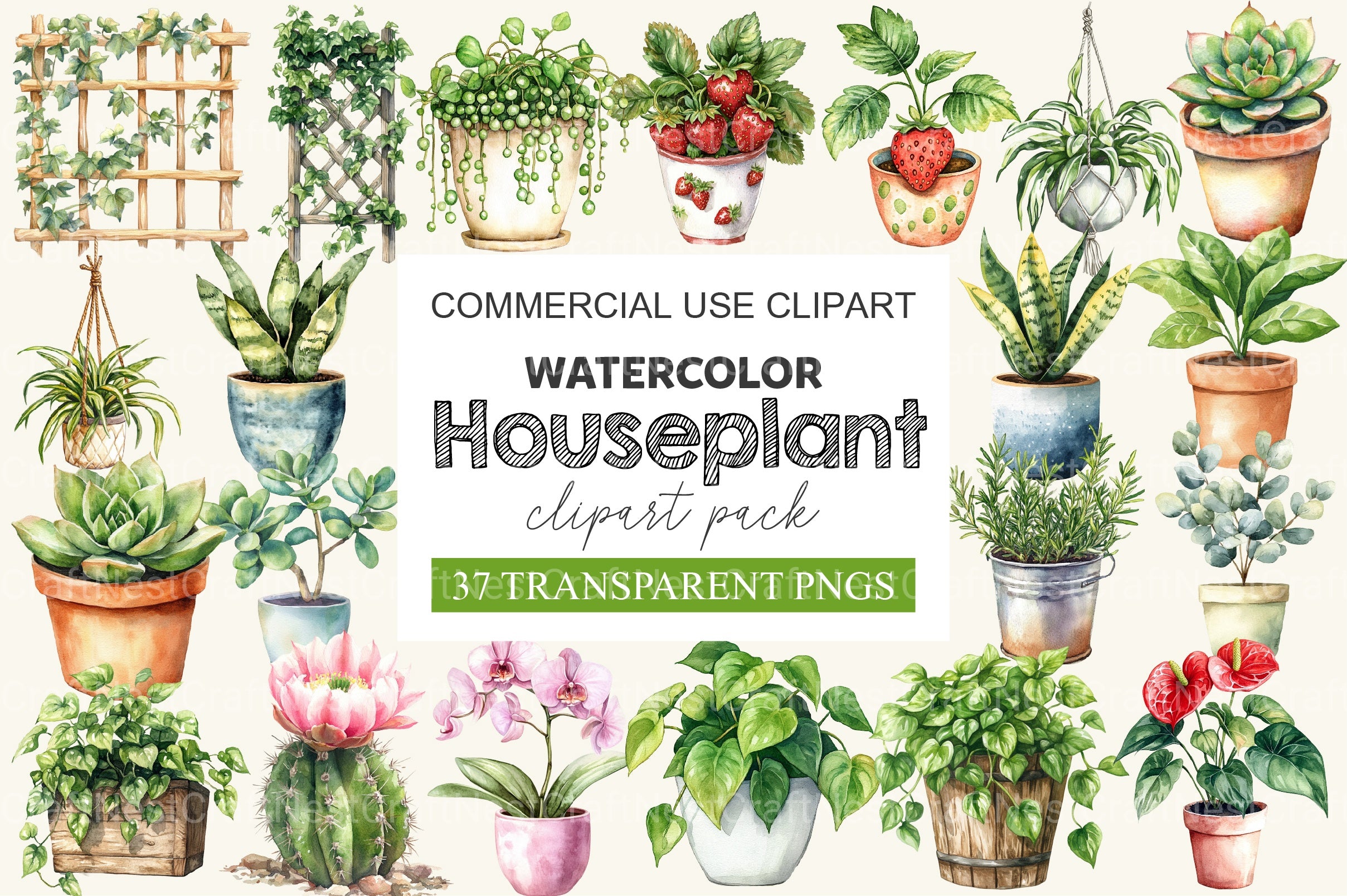 Houseplant Clipart Bundle 2 - CraftNest - Digital Crafting and Art