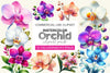 Orchid Clipart Bundle