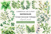 Green Summer Foliage Clipart Bundle