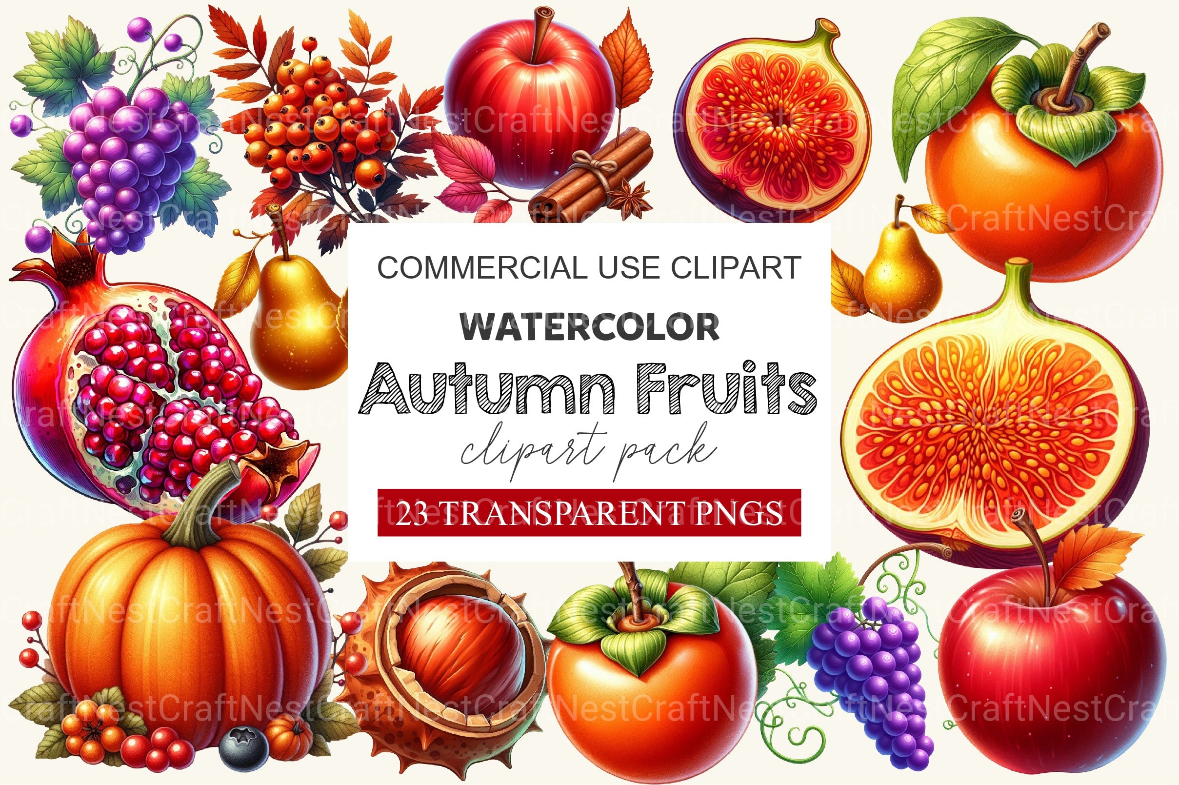 Autumn Fruits Clipart Bundle 3 - CraftNest - Digital Crafting and Art