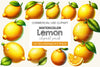 Lemon Clipart Bundle 1
